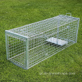 Humanne colapsível Live Animal Trap Cage Fox Traps